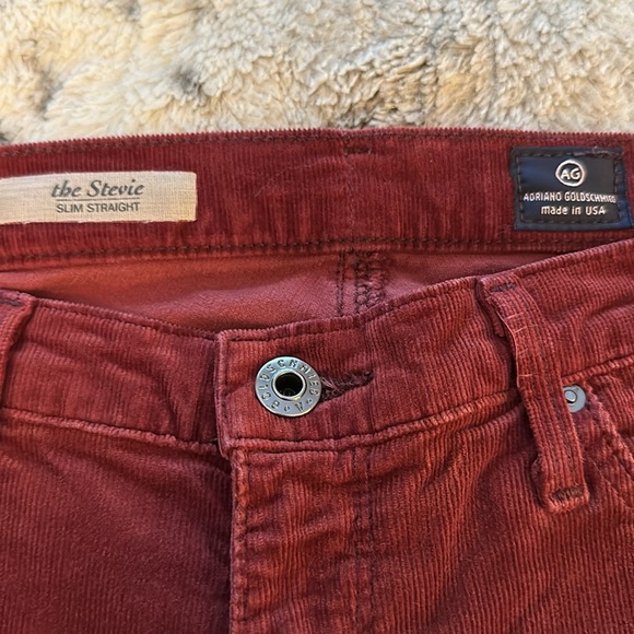Corduroy Jean, rust color, soft, size 28R by AG - Picture 2 of 5